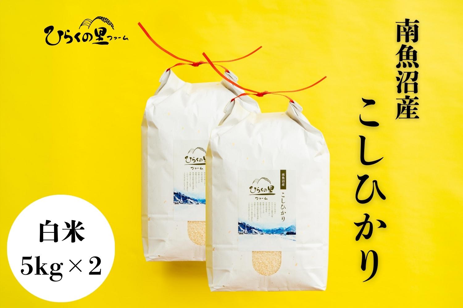 【R7年産】最高金賞 南魚沼産コシヒカリ 白米5kg×2 もっちり甘い！ ひらくの里ファーム