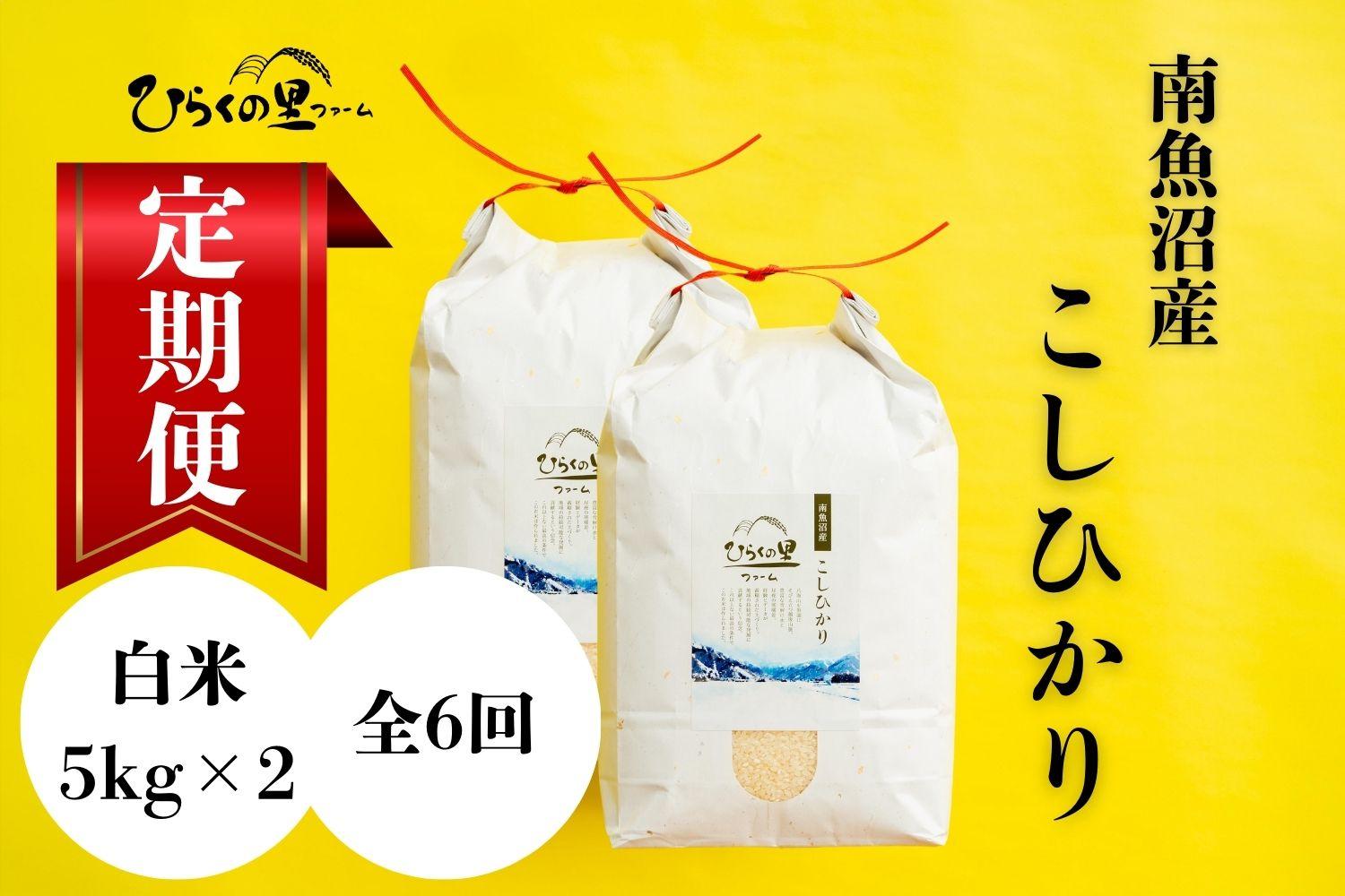 【定期便】（全6ヶ月）もっちり甘い！南魚沼産コシヒカリ 白米5kg×2 ひらくの里ファーム