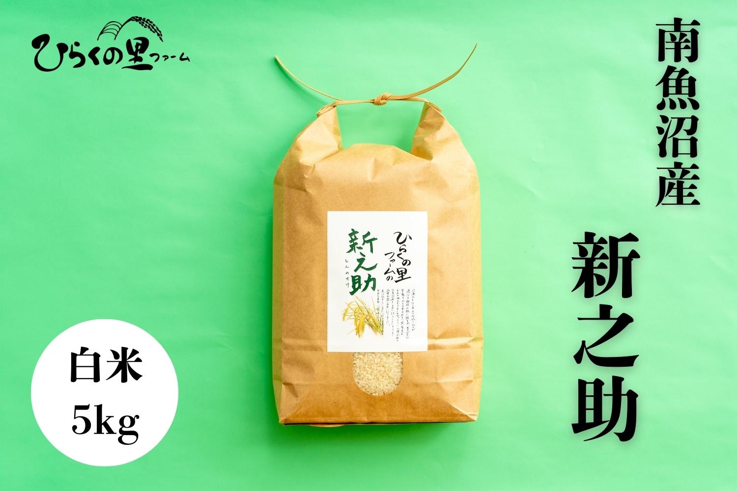 【R7年産】金賞 南魚沼産新之助 白米5kg きらめく大粒！ ひらくの里ファーム