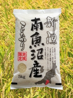 【令和7年産】【南魚沼産】コシヒカリ　5ｋｇ