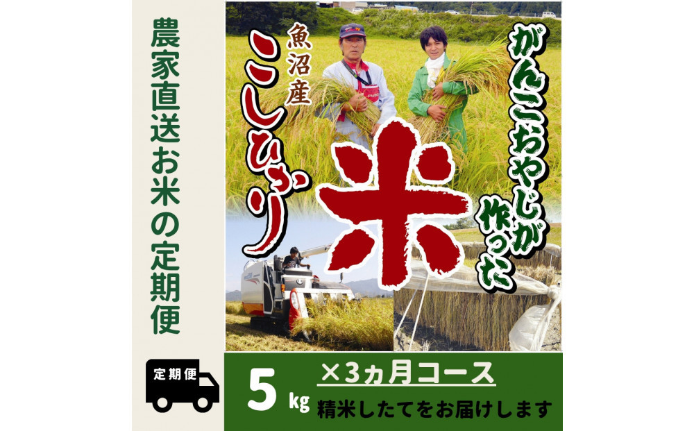 【令和７年産】３か月定期便　がんこおやじが作った南魚沼産コシヒカリ白米5kg