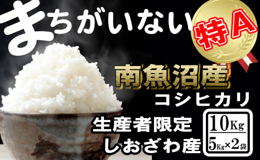 【令和7年産】生産者限定／契約栽培 南魚沼しおざわ産コシヒカリ10Kg（5Kg×2袋）【2025年10月上旬より順次発送予定】