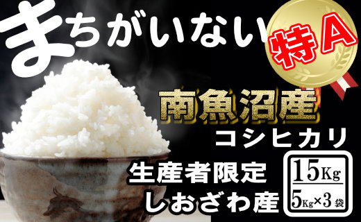 【令和7年産】生産者限定／契約栽培 南魚沼しおざわ産コシヒカリ15Kg（５Kg×3袋）【2025年10月上旬より順次発送予定】