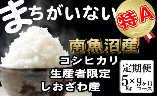 【令和7年産】【定期便】生産者限定 契約栽培　南魚沼しおざわ産コシヒカリ（5Kg×9ヶ月）【2025年10月上旬より順次発送予定】