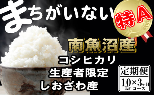 【令和7年産】【定期便】生産者限定 契約栽培　南魚沼しおざわ産コシヒカリ（10Kg×3ヶ月）