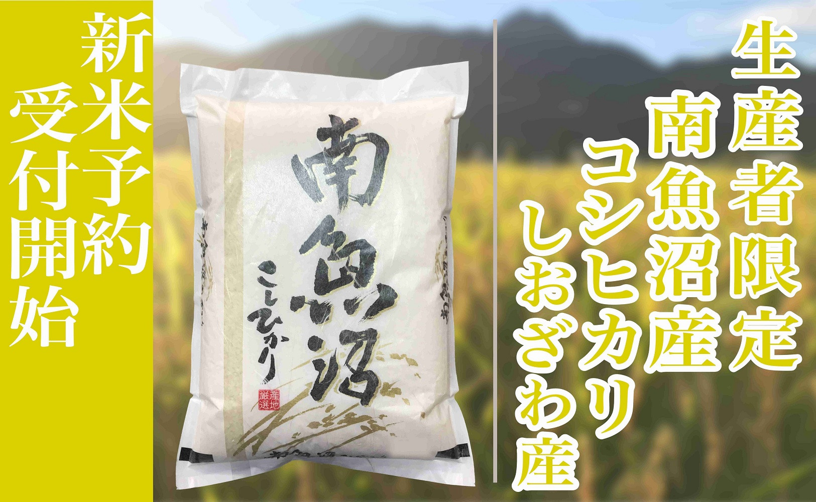 【新米予約・令和7年産】定期便12ヶ月：精米2kg生産者限定 南魚沼しおざわ産コシヒカリ【2025年10月上旬より順次発送予定】