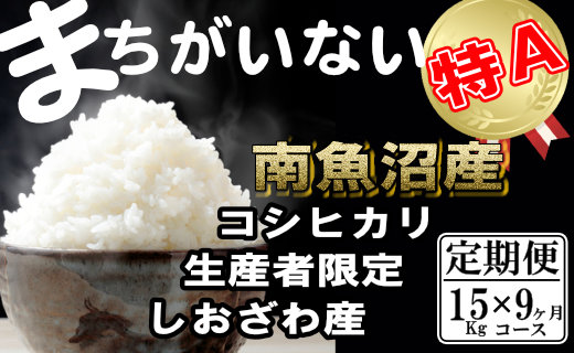 【令和7年産】【定期便】生産者限定 契約栽培　南魚沼しおざわ産コシヒカリ（15Kg×9ヶ月）【2025年10月上旬より順次発送予定】