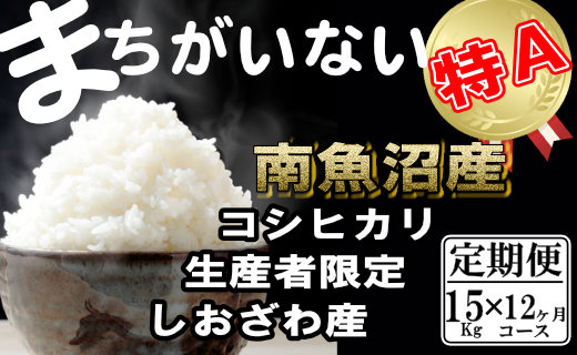 【令和7年産】【定期便】生産者限定 契約栽培　南魚沼しおざわ産コシヒカリ（15Kg×12ヶ月）【2025年10月上旬より順次発送予定】