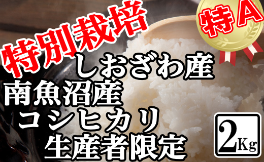 【令和7年産】特別栽培 生産者限定 南魚沼しおざわ産コシヒカリ2Kg【2025年10月上旬より順次発送予定】
