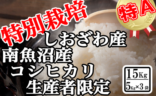 【令和7年産】特別栽培 生産者限定 南魚沼しおざわ産コシヒカリ15Kg【2025年10月上旬より順次発送予定】