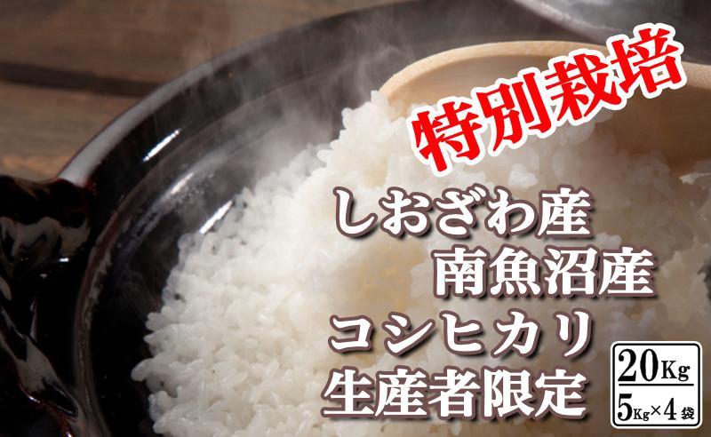 【令和7年産】特別栽培 生産者限定 南魚沼しおざわ産コシヒカリ20Kg【2025年10月上旬より順次発送予定】