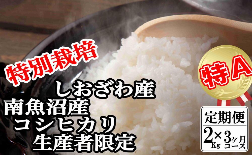 【令和7年産】【定期便：２Kg×3ヶ月】特別栽培 生産者限定  南魚沼しおざわ産コシヒカリ【2025年10月上旬より順次発送予定】