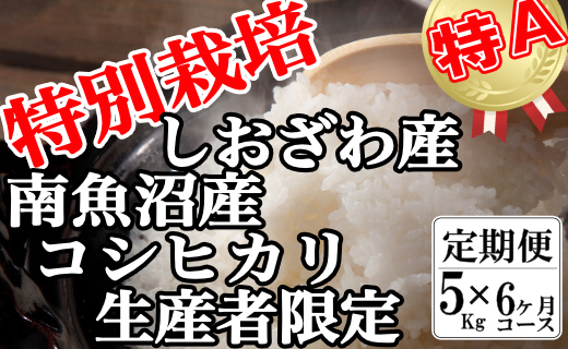 【令和7年産】【定期便：5Kg×6ヶ月】特別栽培 生産者限定  南魚沼しおざわ産コシヒカリ