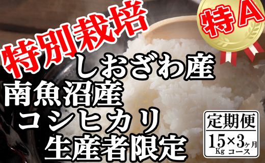 【令和7年産】【定期便：15Kg×3ヶ月】特別栽培 生産者限定  南魚沼しおざわ産コシヒカリ【2025年10月上旬より順次発送予定】