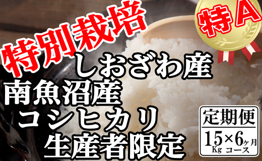 【令和7年産】【定期便：15Kg×6ヶ月】特別栽培 生産者限定  南魚沼しおざわ産コシヒカリ【2025年10月上旬より順次発送予定】
