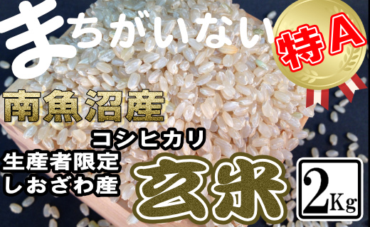 【令和7年産】玄米 生産者限定 南魚沼しおざわ産コシヒカリ2Kg【2025年10月上旬より順次発送予定】