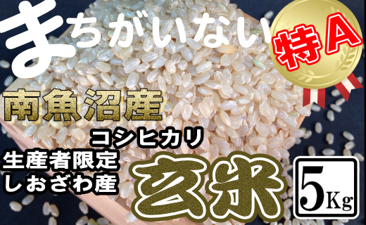 【令和7年産】玄米 生産者限定 南魚沼しおざわ産コシヒカリ5Kg【2025年10月上旬より順次発送予定】