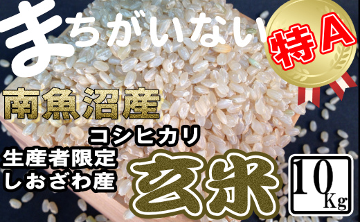 【令和7年産】玄米 生産者限定 南魚沼しおざわ産コシヒカリ10Kg【2025年10月上旬より順次発送予定】