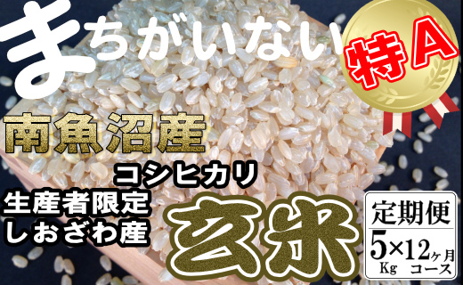 【令和7年産】【定期便】玄米 生産者限定 南魚沼しおざわ産コシヒカリ5Kg×12ヶ月【2025年10月上旬より順次発送予定】