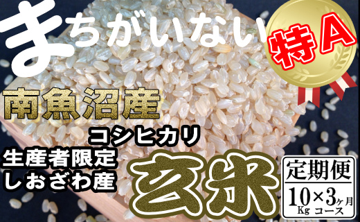 【令和7年産】【定期便】玄米 生産者限定 南魚沼しおざわ産コシヒカリ10Kg×3ヶ月