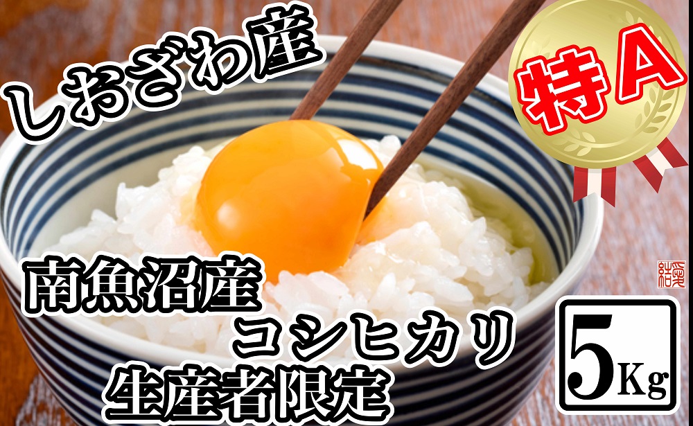 【令和7年産】【生産者限定 契約栽培】南魚沼しおざわ産コシヒカリ5kg【2025年10月上旬より順次発送予定】