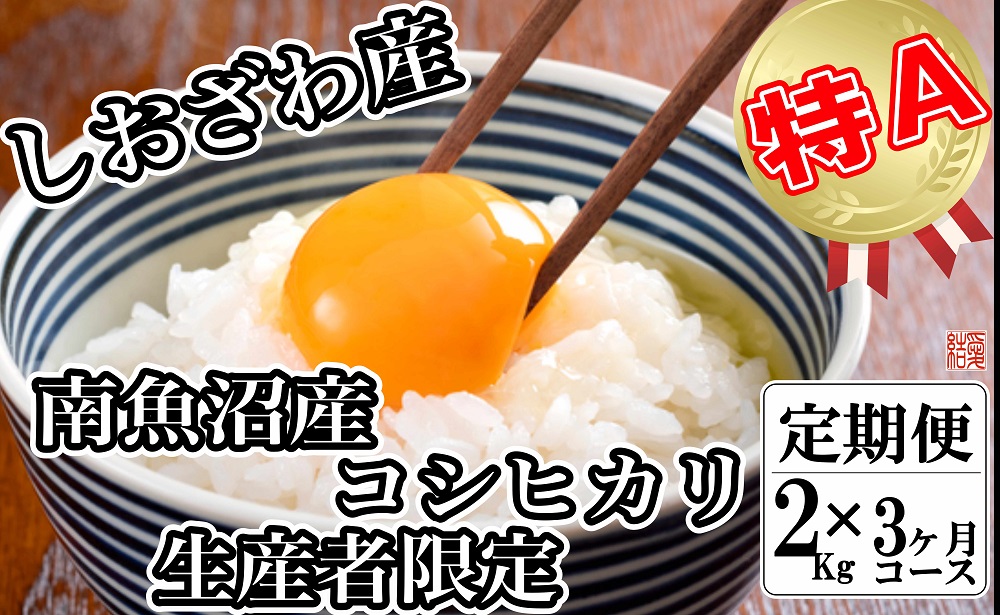 【令和7年産】【定期便／２kg×3ヶ月】生産者限定 契約栽培 南魚沼しおざわ産コシヒカリ【2025年10月上旬より順次発送予定】