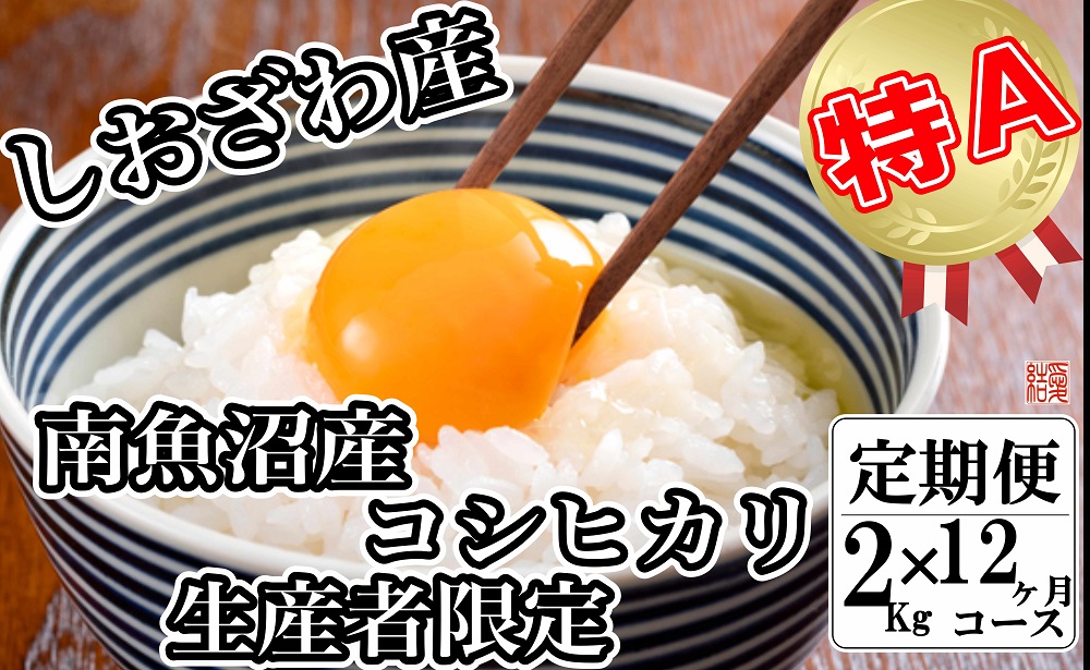 【令和7年産】【定期便／２kg×12ヶ月】生産者限定 契約栽培 南魚沼しおざわ産コシヒカリ【2025年10月上旬より順次発送予定】