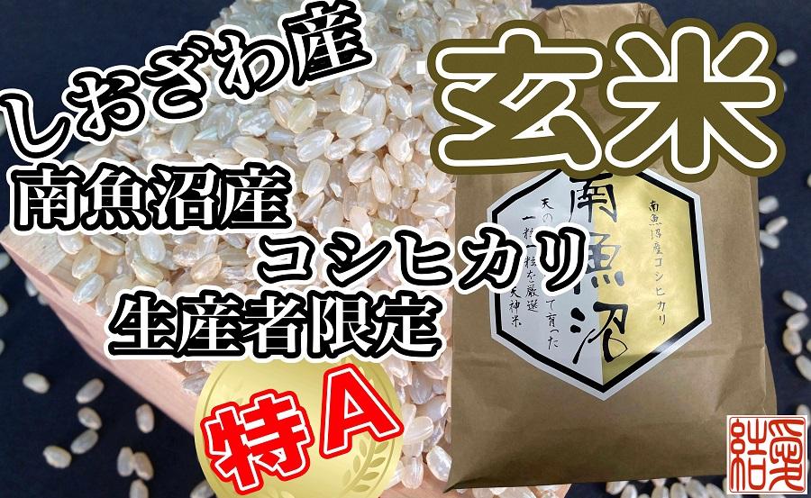 【令和7年産】【定期便】玄米 南魚沼しおざわ産コシヒカリ10Kg×9ヶ月【2025年10月上旬より順次発送予定】