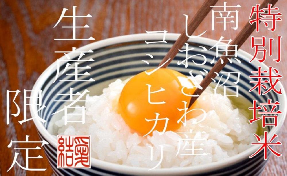 【令和7年産】【定期便10Kg×12ヶ月】【特別栽培米】 契約生産者限定  南魚沼しおざわ産コシヒカリ【2025年10月上旬より順次発送予定】