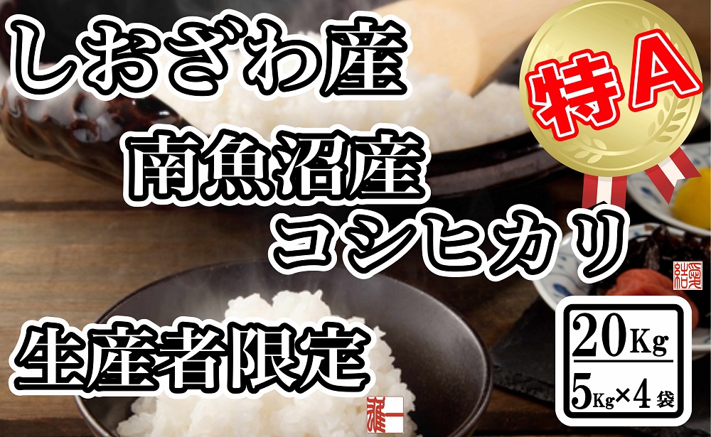 【令和7年産】生産者限定 契約栽培 南魚沼しおざわ産コシヒカリ20Kg（５Kg ×4袋）【2025年10月上旬より順次発送予定】