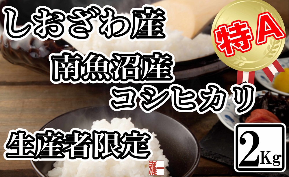 【令和7年産】生産者限定 契約栽培 南魚沼しおざわ産コシヒカリ2Kg【2025年10月上旬より順次発送予定】