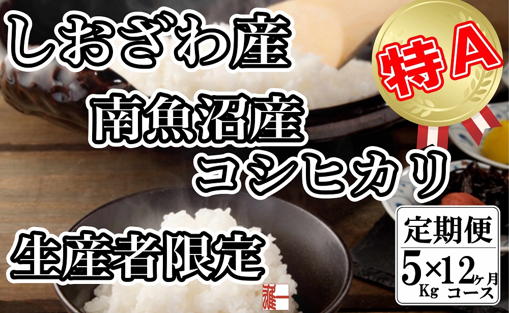 【令和7年産】【定期便： 5Kg×12ヶ月】生産者限定 契約栽培 南魚沼しおざわ産コシヒカリ【2025年10月上旬より順次発送予定】