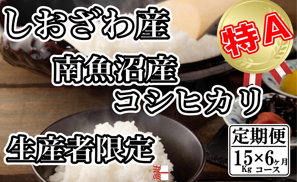 【令和7年産】【定期便：15Kg×6ヶ月】生産者限定 契約栽培 南魚沼しおざわ産コシヒカリ【2025年10月上旬より順次発送予定】