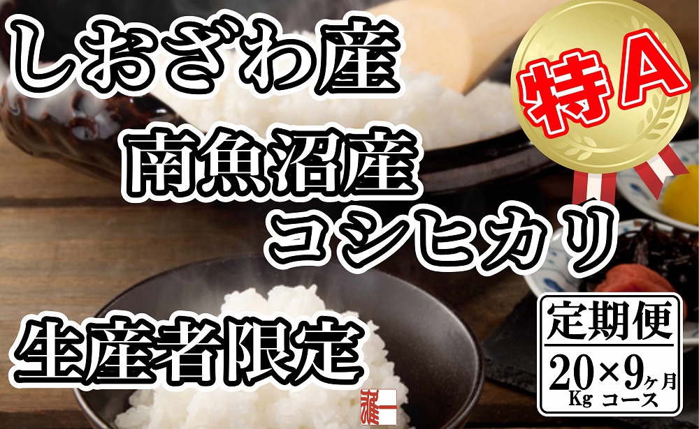 【令和7年産】【定期便：20Kg×9ヶ月】生産者限定 契約栽培 南魚沼しおざわ産コシヒカリ【2025年10月上旬より順次発送予定】