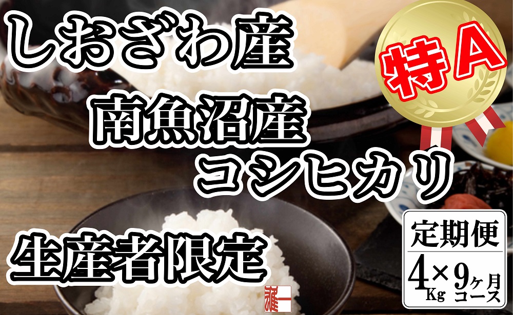 【令和7年産】【定期便：４Kg×9ヶ月】生産者限定 契約栽培 南魚沼しおざわ産コシヒカリ【2025年10月上旬より順次発送予定】