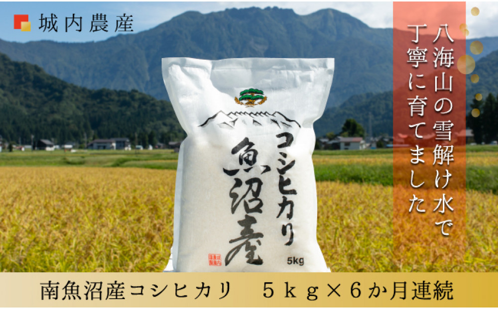 【令和７年 産】【お米定期便/全６回】南魚沼産コシヒカリ　白米５ｋｇ＜５割減農薬栽培米＞ 城内農産