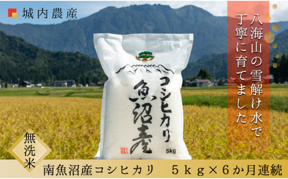 【令和７年産 】【お米定期便/全６回】南魚沼産コシヒカリ　無洗米５ｋｇ＜５割減農薬栽培米＞城内農産