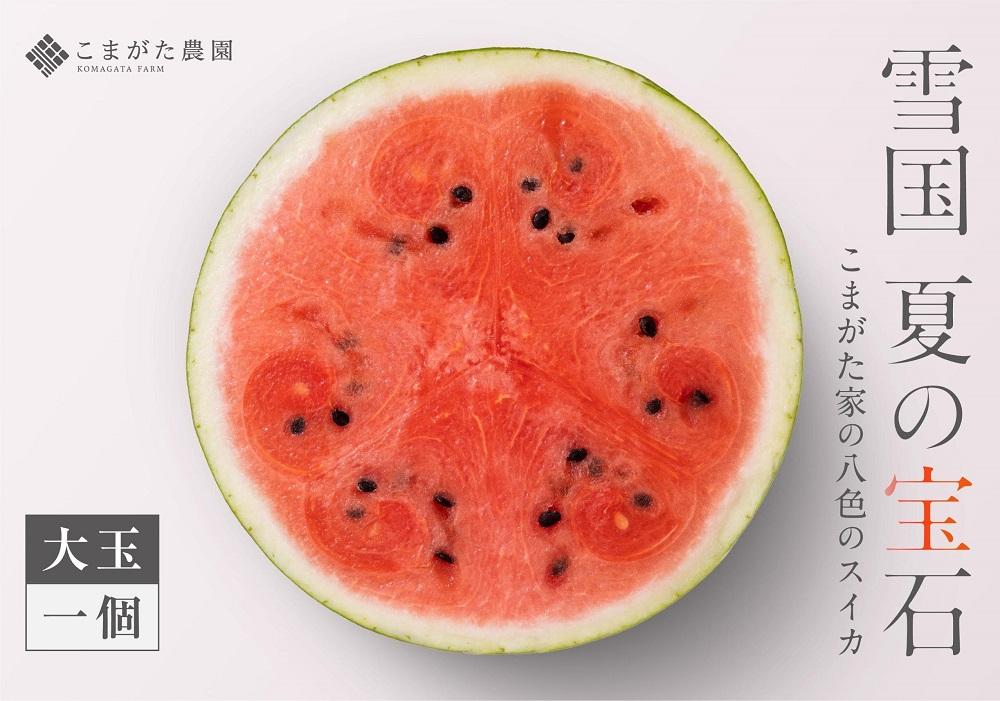 【2026年7月下旬〜8月上旬順次発送予定】高級南魚沼八色産スイカ「こまがた家の八色のスイカ」プレミアム大玉 1玉