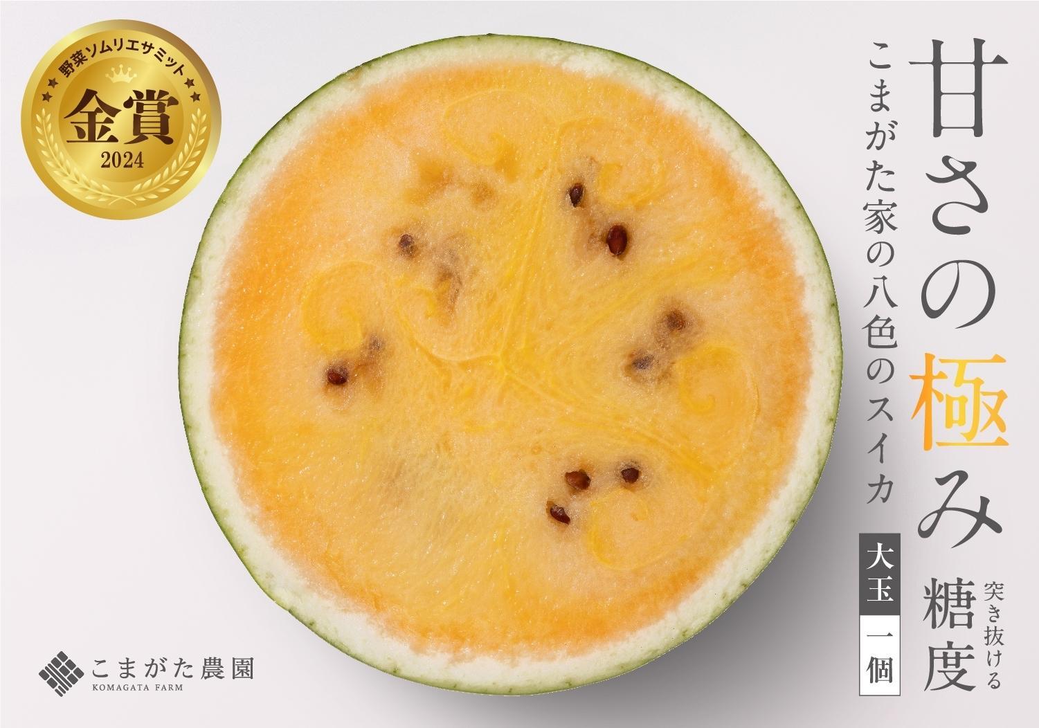 【2026年7月下旬〜8月上旬順次発送予定】糖度日本一・金賞W受賞 金色羅皇  最高級南魚沼八色産黄色スイカ「こまがた家の八色のスイカ」プレミアム大玉 1玉