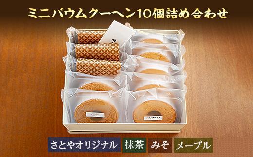 バウムクーヘン ミニ 詰め合わせ セット 10個入り 八海山 焼き菓子 お菓子 スイーツ バームクーヘン さとや   新潟県 南魚沼市