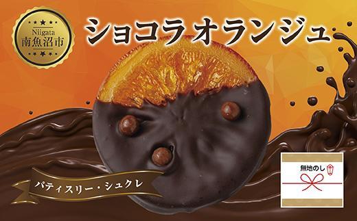 無地熨斗 ショコラオランジュ 計5枚 チョコレート ビターチョコ ショコラ オレンジ オランジュ コーティング 洋菓子 お菓子 菓子 手土産 スイーツ 贈り物 ギフト 熨斗 のし 贈答用 新潟県 南魚沼市