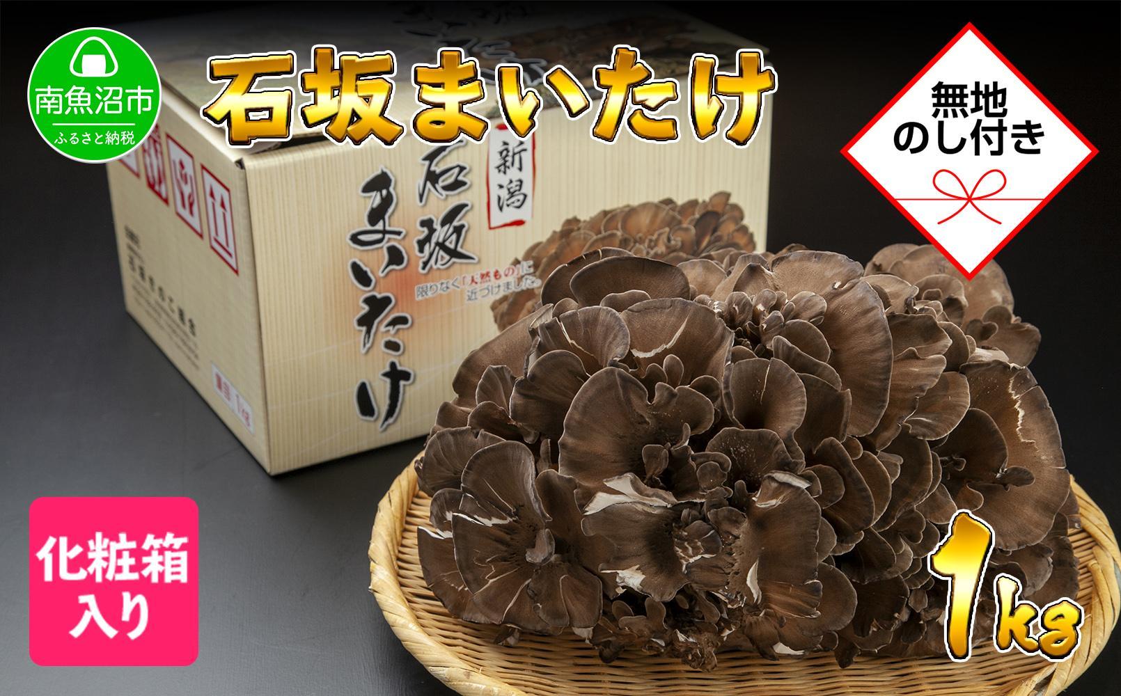 【無地のし】 新潟県 南魚沼産 厳選 国産 石坂 高級 舞茸 まいたけ 産地直送 1kg 贈り物 ギフト お中元 お歳暮 石坂きのこ