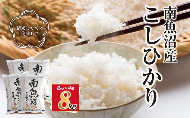 新潟県 南魚沼産 コシヒカリ こしひかり お米 2kg ×4個 計8kg 精米 魚沼 米 炊き方ガイド付き