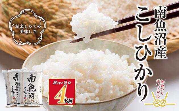 無地熨斗 新潟県 南魚沼産 コシヒカリ こしひかり お米 2kg ×2個 計4kg 精米 魚沼 米 炊き方ガイド付き お中元 お歳暮 gift ギフト プレゼント