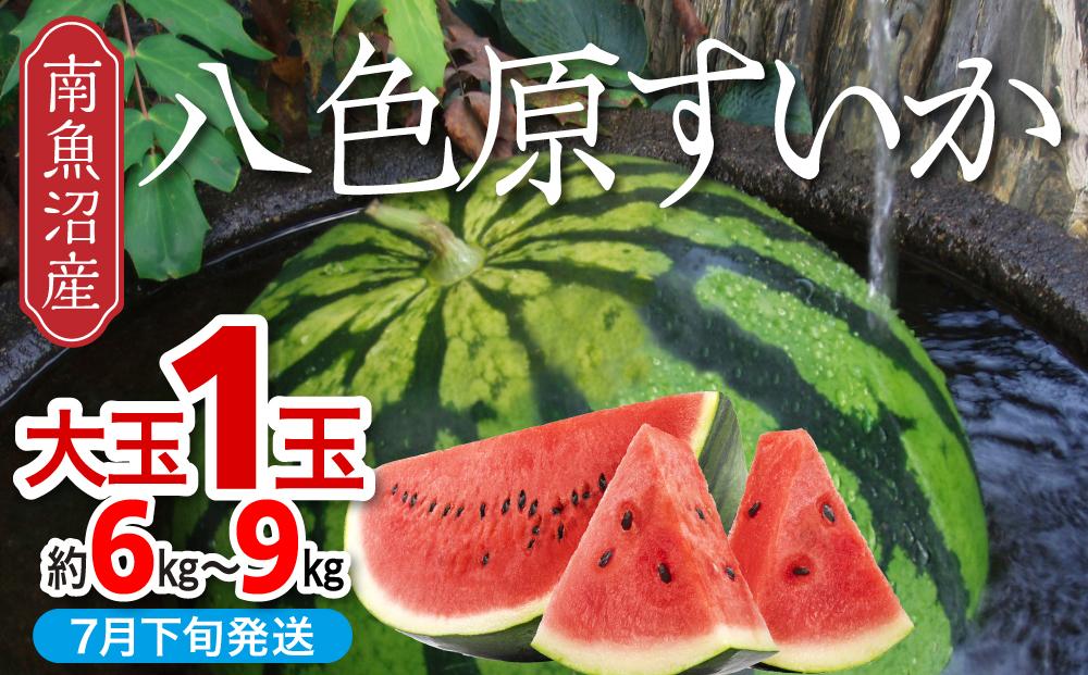 【先行予約】【新潟県 南魚沼産】八色原すいか大玉１玉【2026年7月下旬発送】【お届け日時指定不可】