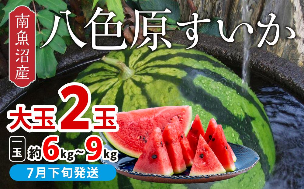 【先行予約】【新潟県 南魚沼産】八色原すいか大玉２玉【2026年7月下旬発送】【お届け日時指定不可】