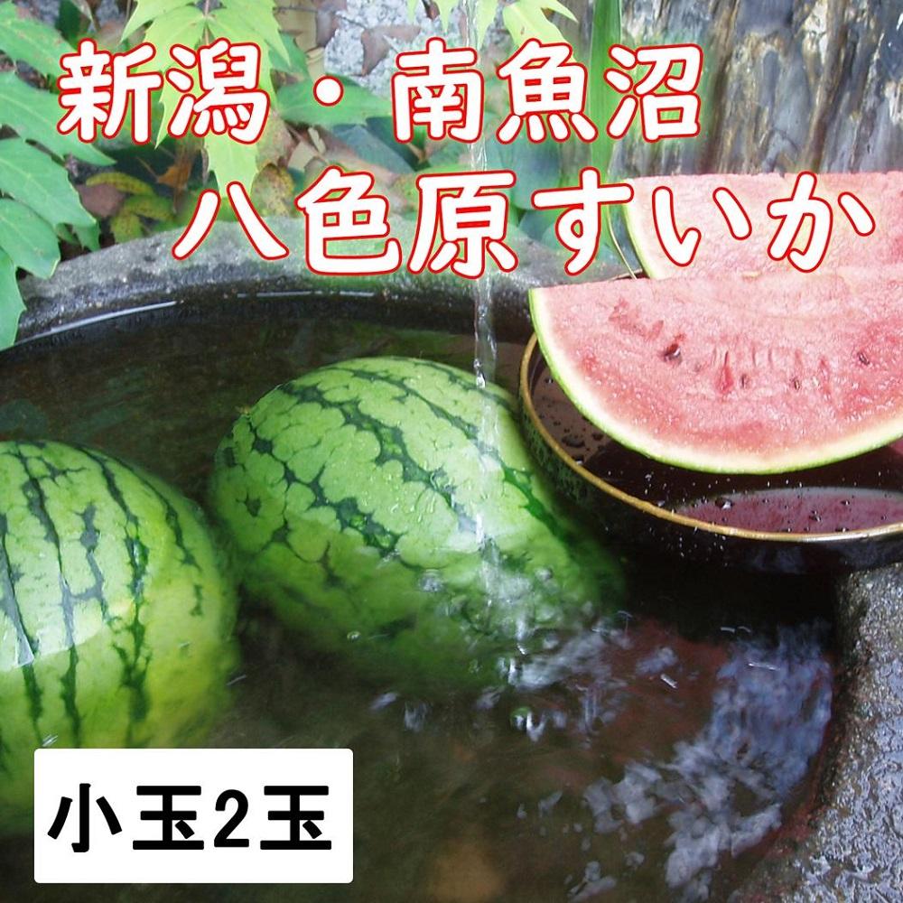 【先行予約】【新潟県 南魚沼産】八色原スイカ小玉２玉【2026年7月中旬発送】【お届け日時指定不可】