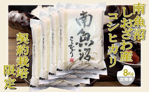 【令和7年産】【定期便 精米８Kg×12ヶ月】契約栽培限定 南魚沼しおざわ産コシヒカリ【2025年10月上旬より順次発送予定】