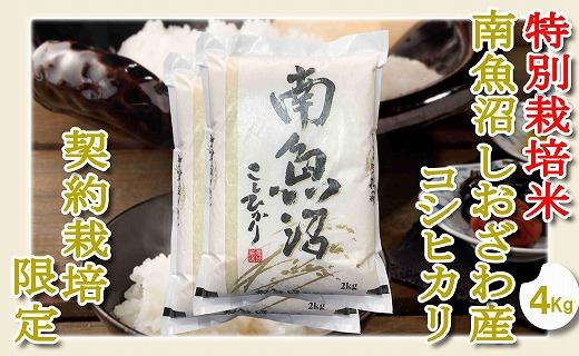 【令和7年産】【精米４Kg】特別栽培 生産者限定  南魚沼しおざわ産コシヒカリ【2025年10月上旬より順次発送予定】