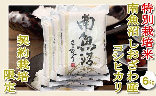 【令和7年産】【精米６Kg】特別栽培 生産者限定  南魚沼しおざわ産コシヒカリ【2025年10月上旬より順次発送予定】